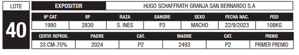 Lote LOTE 40