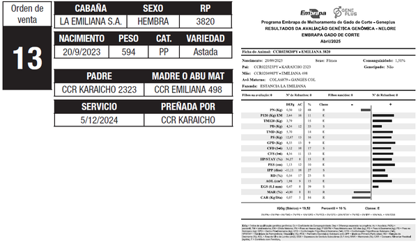 Lote LOTE 13