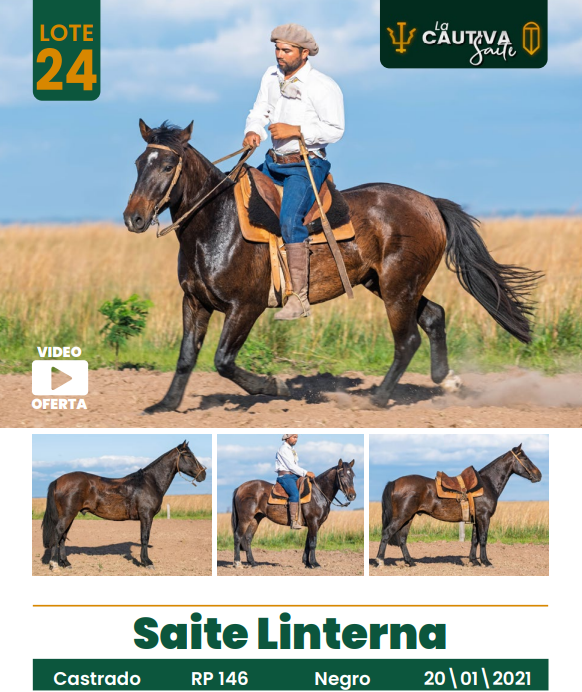 Lote LOTE 24