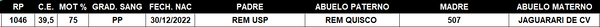Lote LOTE 56