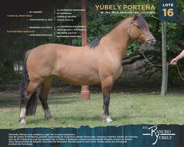 Lote Yubely Porteña