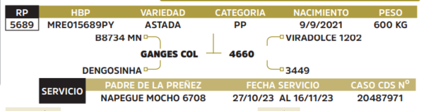 Lote LOTE 64