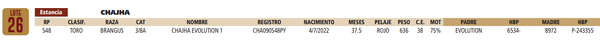 Lote LOTE 26