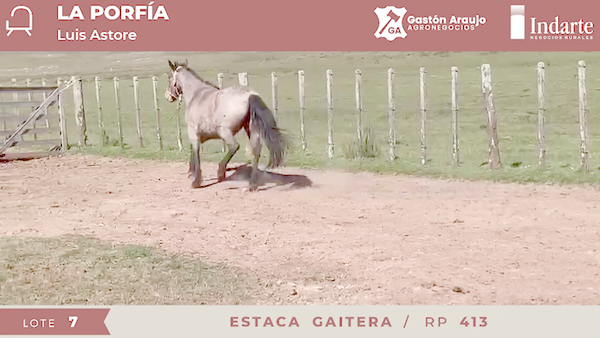 Lote ESTACA GAITERA