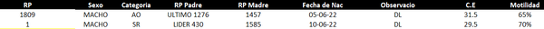 Lote LOTE 49