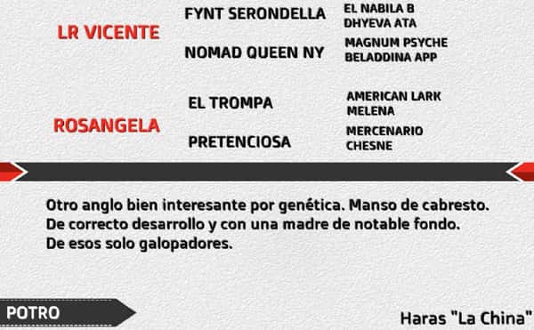 Lote CHISPAZO