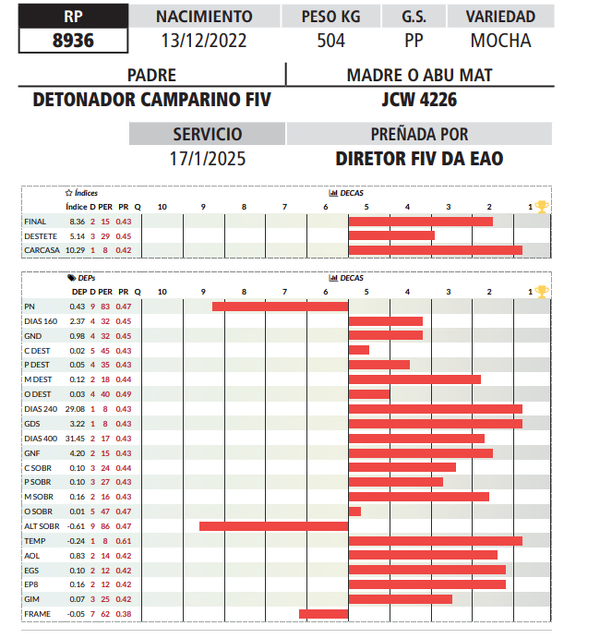 Lote LOTE 15