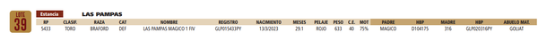 Lote LOTE 39
