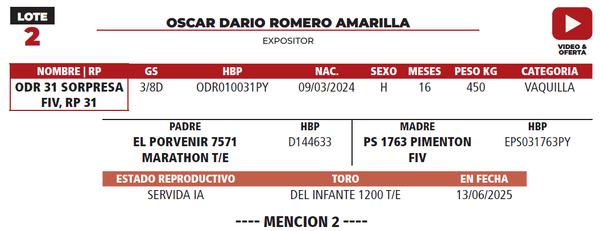 Lote LOTE 2