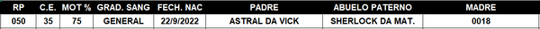 Lote LOTE 43