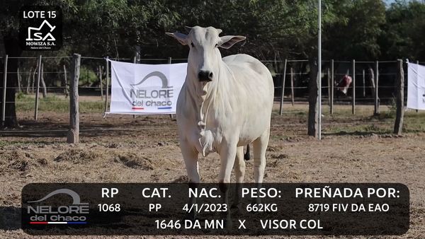 Lote LOTE 15