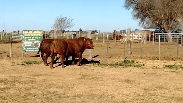 Lote CABAÑA LA MARICEL