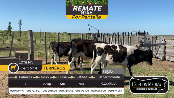 Lote 3 Terneros en Otra Localidad, Colonia