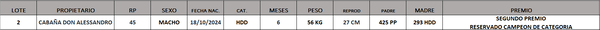 Lote LOTE 2