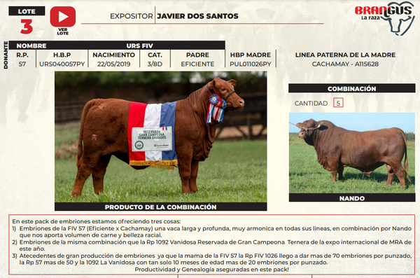 Lote LOTE 3