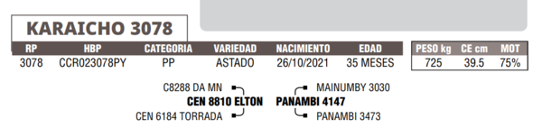 Lote LOTE 13