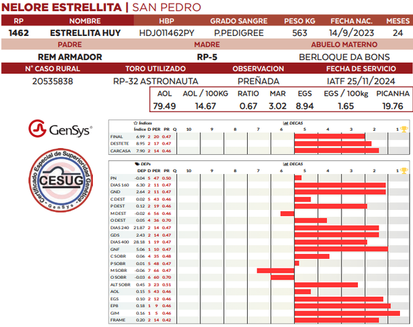 Lote LOTE 28