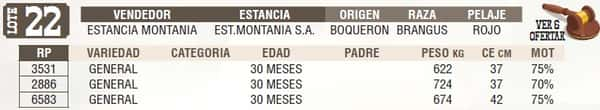 Lote LOTE 22 - EN VIVO