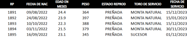 Lote LOTE 37