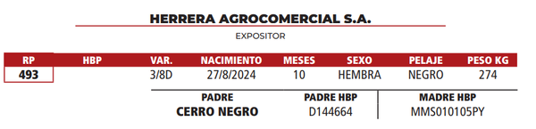 Lote LOTE 7