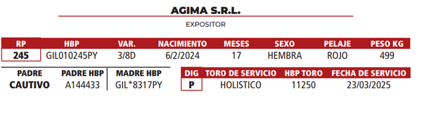 Lote LOTE 37