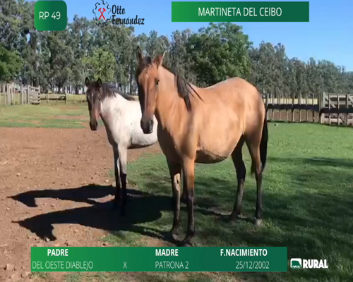 Lote Martineta del  ceibo