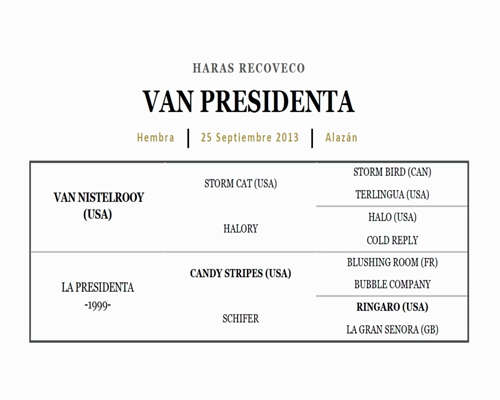 Lote CULTURA GUARANI (PURE PRIZE - CUÑATAHI)