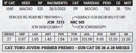 Lote LOTE 10 - BOZAL