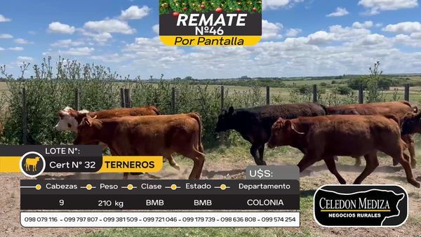 Lote 9 Terneros en Tarariras, Colonia