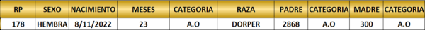 Lote LOTE 49