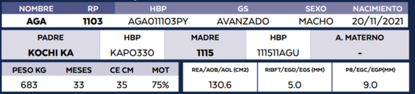 Lote LOTE 18