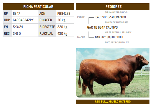 Lote LOTE 34