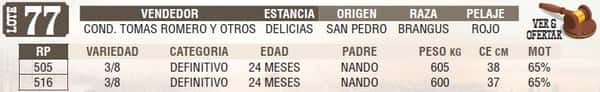 Lote LOTE 77 - EN VIVO