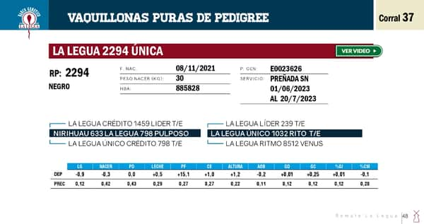 Lote VAQUILLONAS PP REMATE