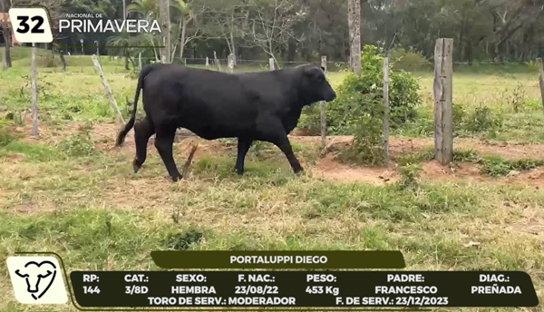 Lote LOTE 32- CAMPO