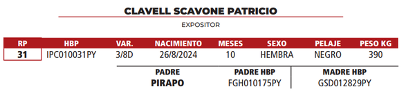 Lote LOTE 10