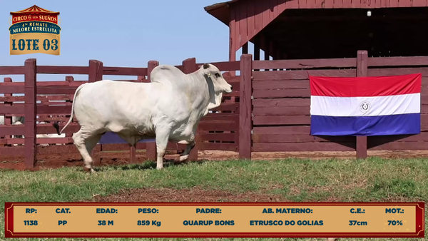 Lote LOTE 3