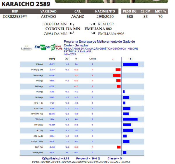 Lote LOTE 78