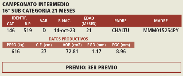 Lote LOTE 3