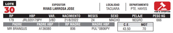 Lote LOTE 30- CAMPO