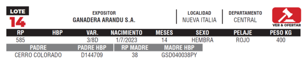 Lote LOTE 14- JUNIOR