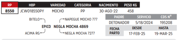 Lote LOTE 36