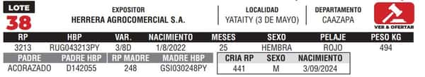 Lote LOTE 38- CAMPO