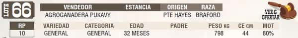 Lote LOTE 66 - EN VIVO