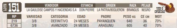 Lote LOTE 151 - EN VIVO