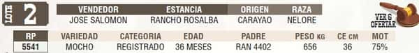 Lote LOTE 2 - EN VIVO