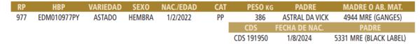 Lote LOTE 33