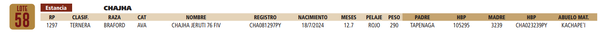 Lote LOTE 58
