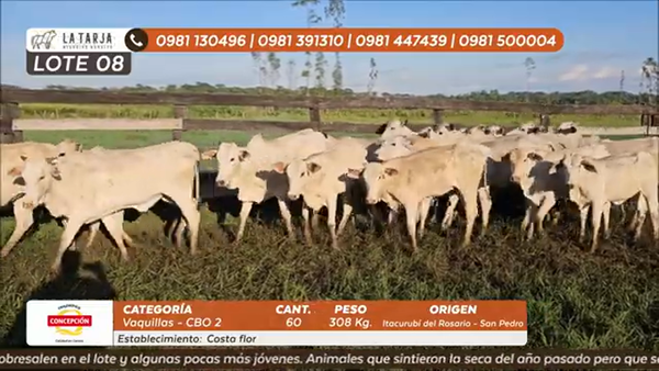 Lote ESTANCIA COSTA FLOR