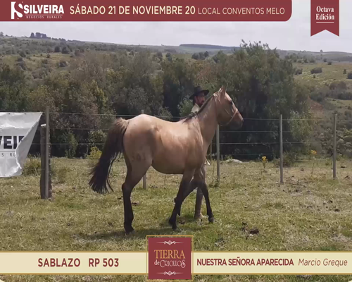 Lote Tierra de Criollos - Nuestra Señora Aparecida -  Sablazo RP 503